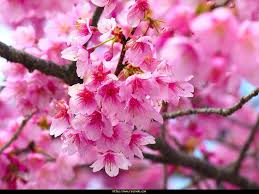 ΑΝΟΙΞΗ ΕΛΛΑΔΑ 22